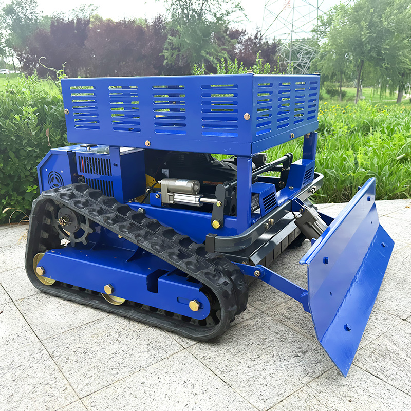 High Quality Self-Propelled  R - đánh giá và giá Lawn Mower Battery